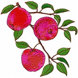 Apple Embroidery Design 1 Apple Embroidery Design 1